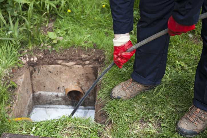 drain cleaning in Tampa FL